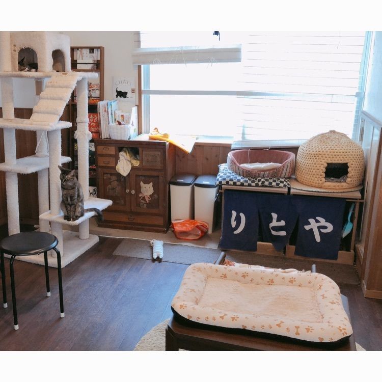 mimiさんが投稿した画像の画像