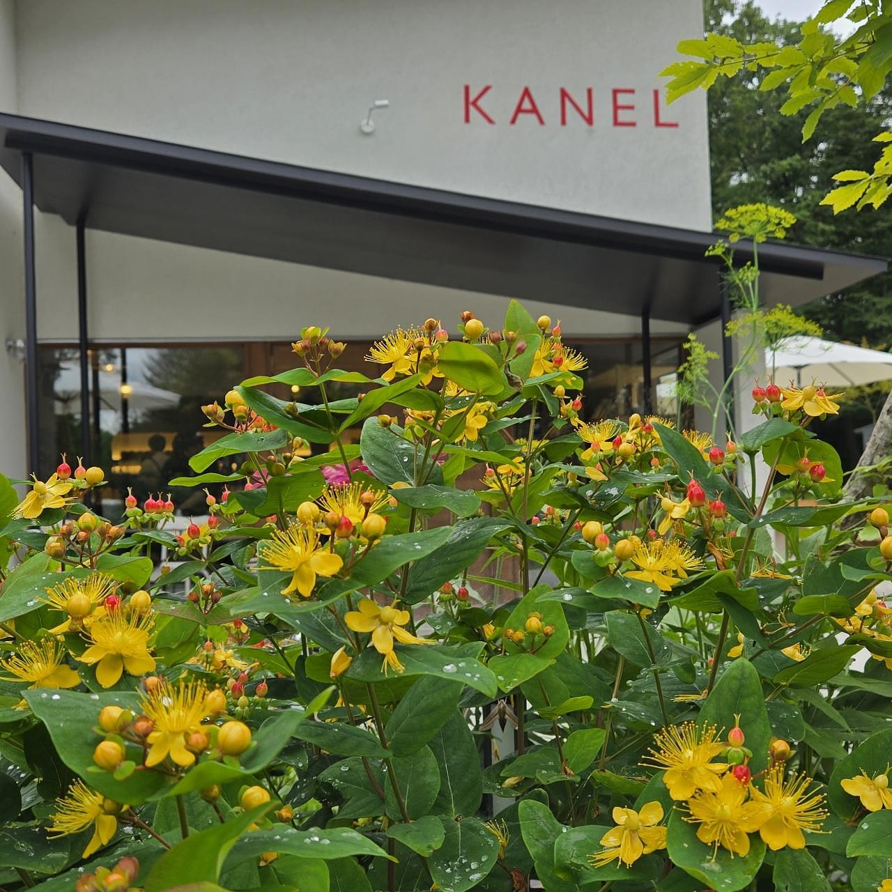 miさんが投稿したKANEL BREAD 那須店（カネルブレッド）に関する口コミの画像