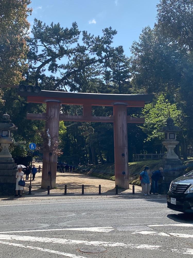 MMさんが投稿した興福寺五重塔に関する口コミの画像