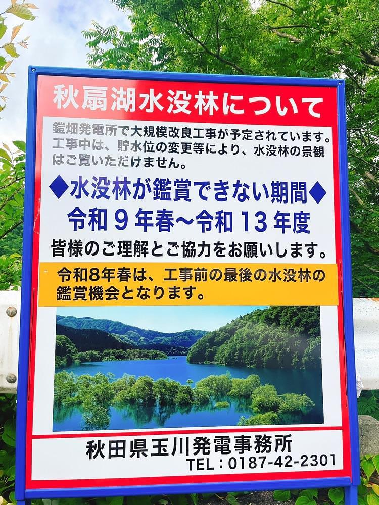 猫なぎ。さんが投稿した宝仙湖展望台に関する口コミの画像