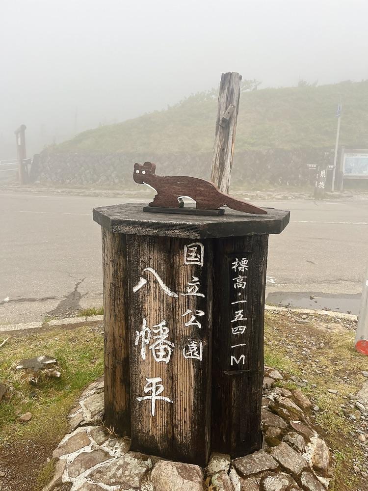 猫なぎ。さんが投稿した八幡平ドラゴンアイに関する口コミの画像