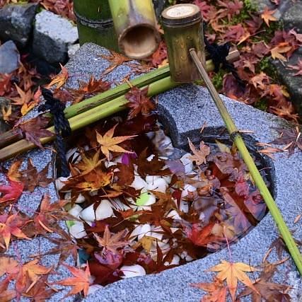京都を巡る会・「武」さんが投稿した安楽寺に関する口コミの画像