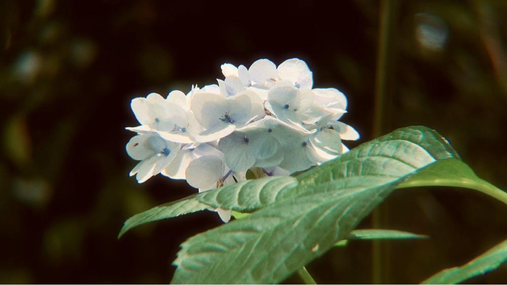 兎きち さんが投稿したはにわ園に関する口コミの画像