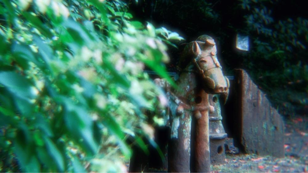 兎きち さんが投稿したはにわ園に関する口コミの画像