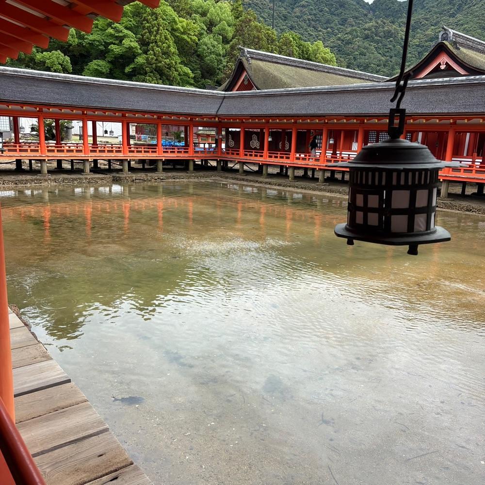Danjouさんが投稿した厳島神社に関する口コミの画像