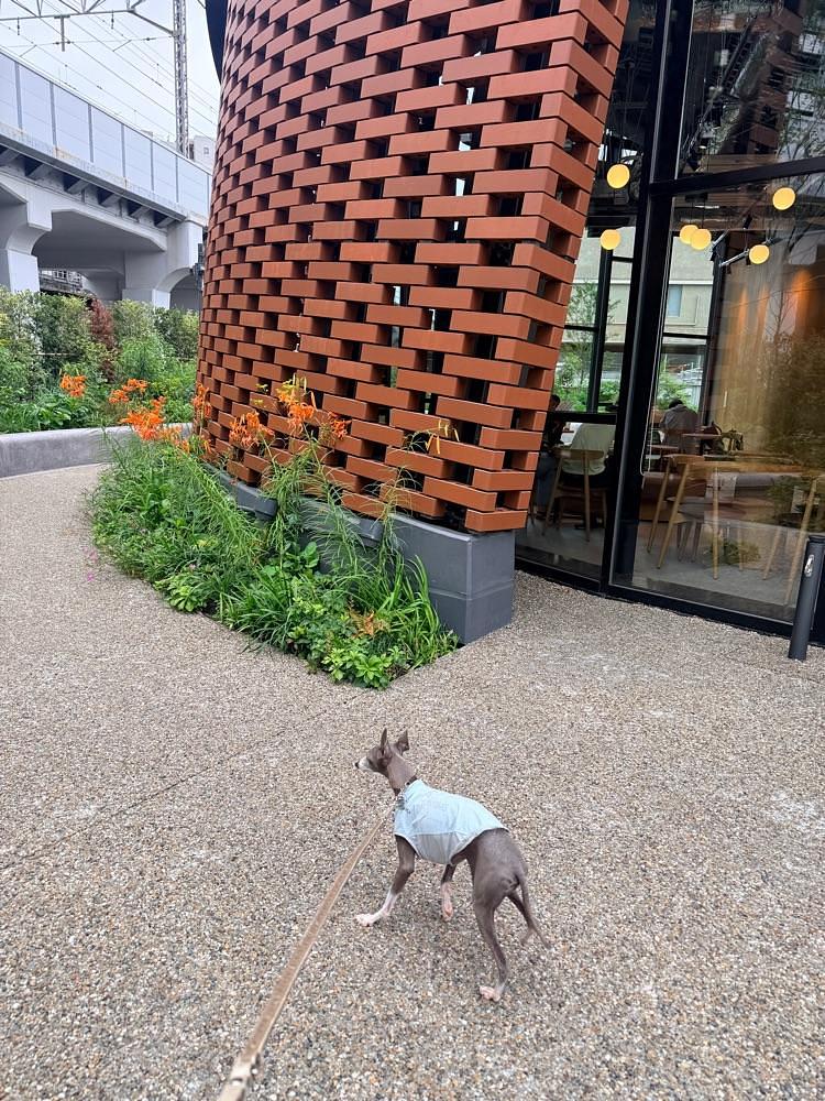志保さんが投稿したスターバックス TSUTAYA BOOKSTORE 大井町トラックス店に関する口コミの画像