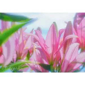 ささやま玉水