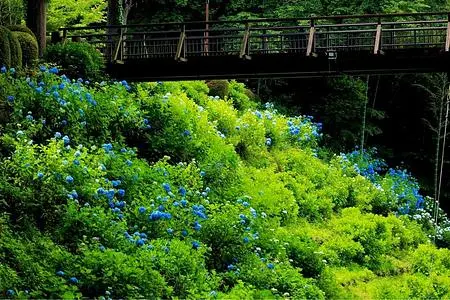 黒羽城址公園