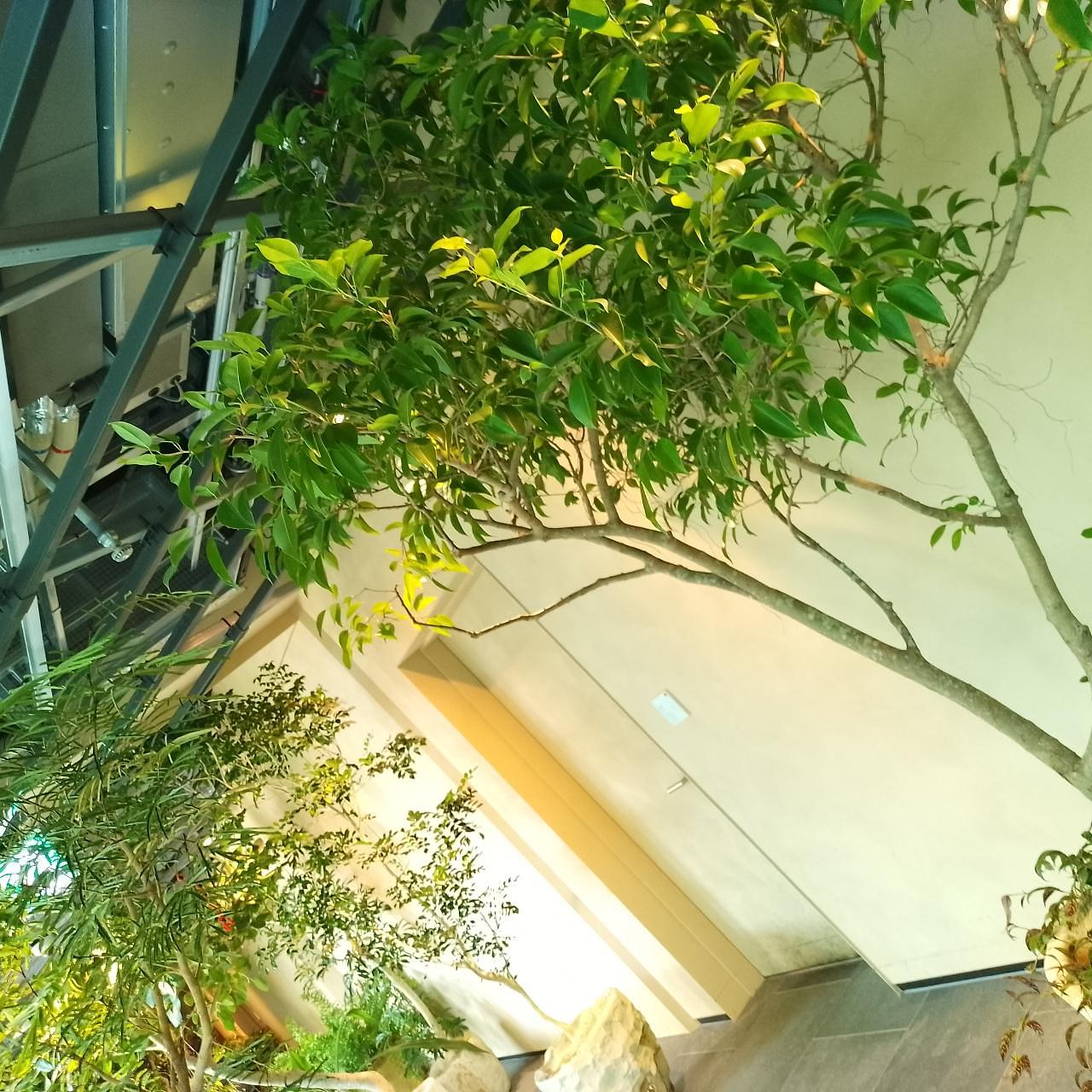 のんびりんこさんが投稿したVERMICULAR RESTAURANT THE FOUNDRY ニュウマン高輪店に関する口コミの画像