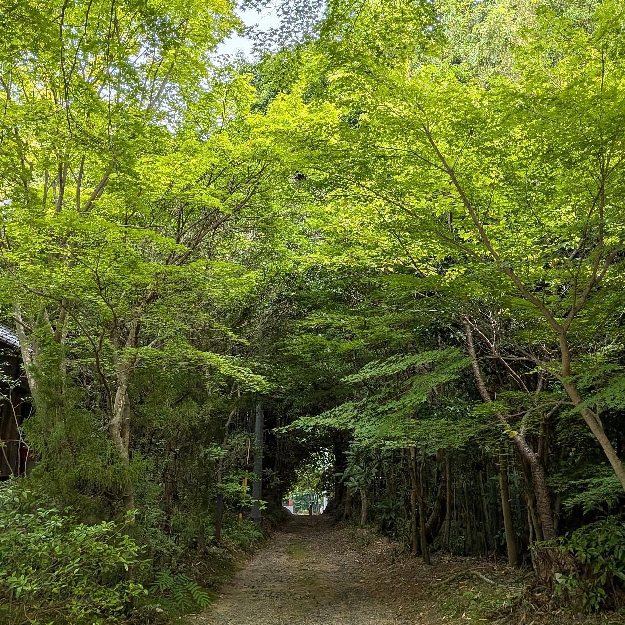 ぬっくさんが投稿したミニストップ 河芸上野店に関する口コミの画像
