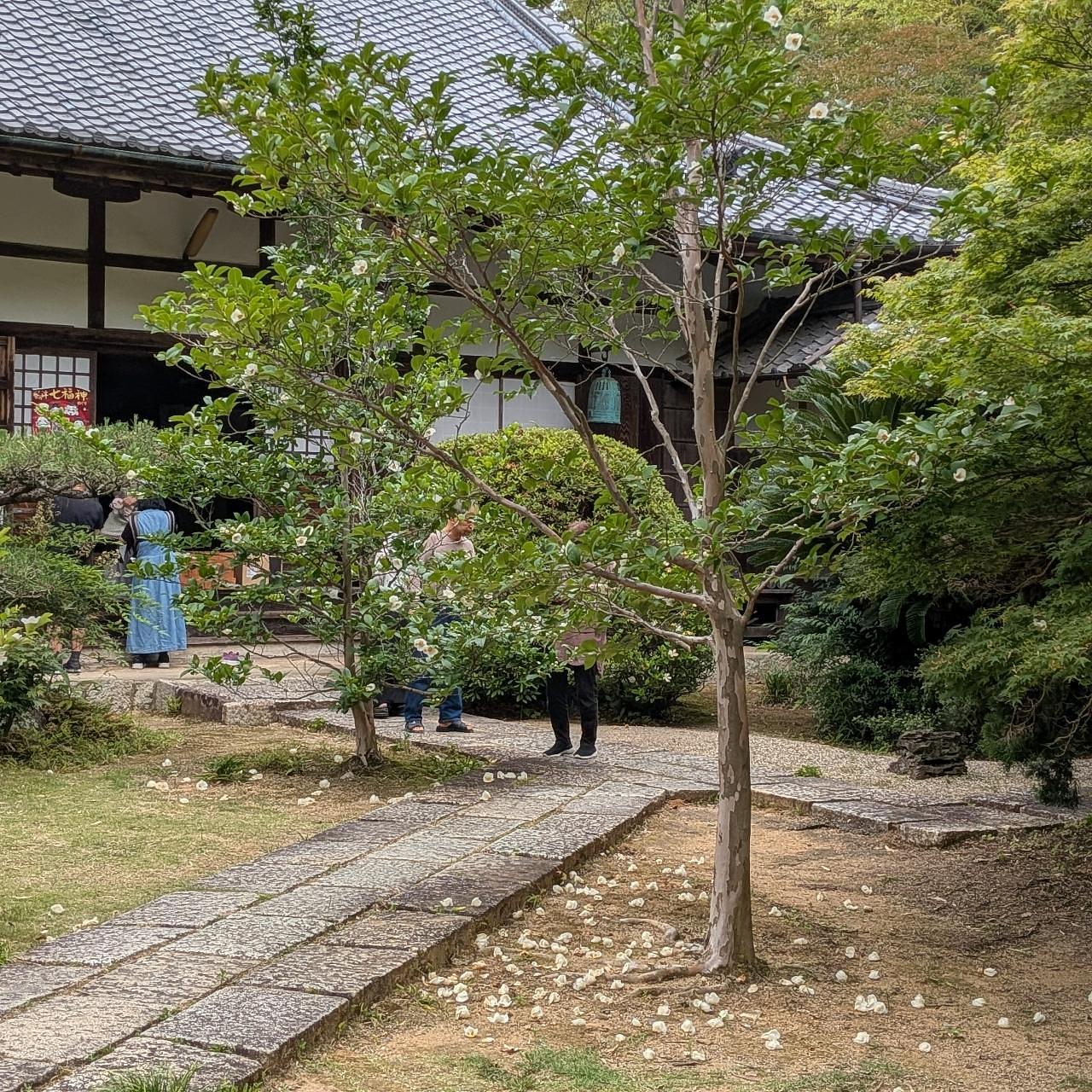 ぬっくさんが投稿したミニストップ 河芸上野店に関する口コミの画像