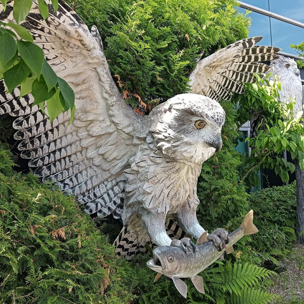 real_pocket_3432さんが投稿したトヨタレンタリース釧路釧路空港店に関する口コミの画像