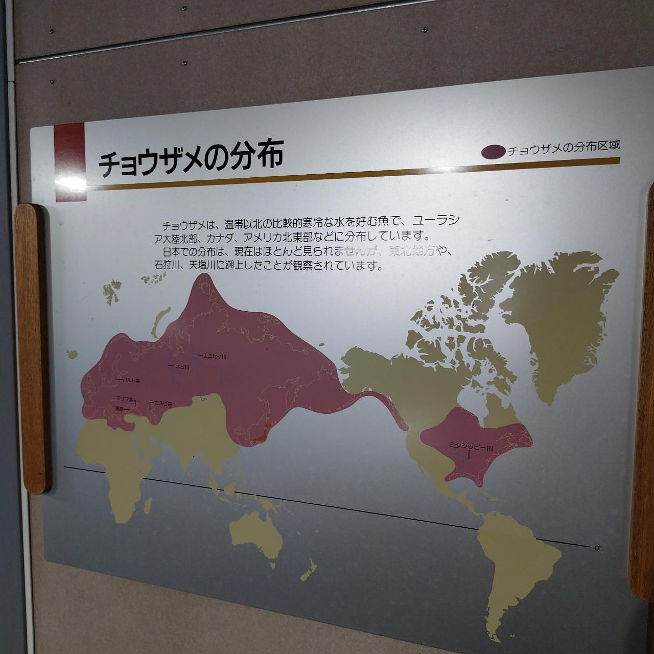北海道大臣さんが投稿した美深チョウザメ館に関する口コミの画像