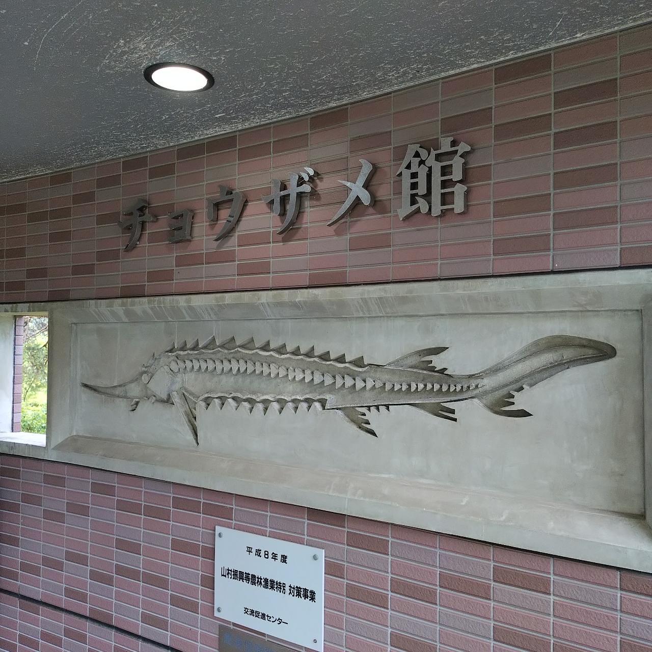 北海道大臣さんが投稿した美深チョウザメ館に関する口コミの画像