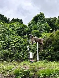 道の駅 くろほね・やまびこ