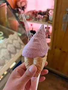 ウエモンズ ハート