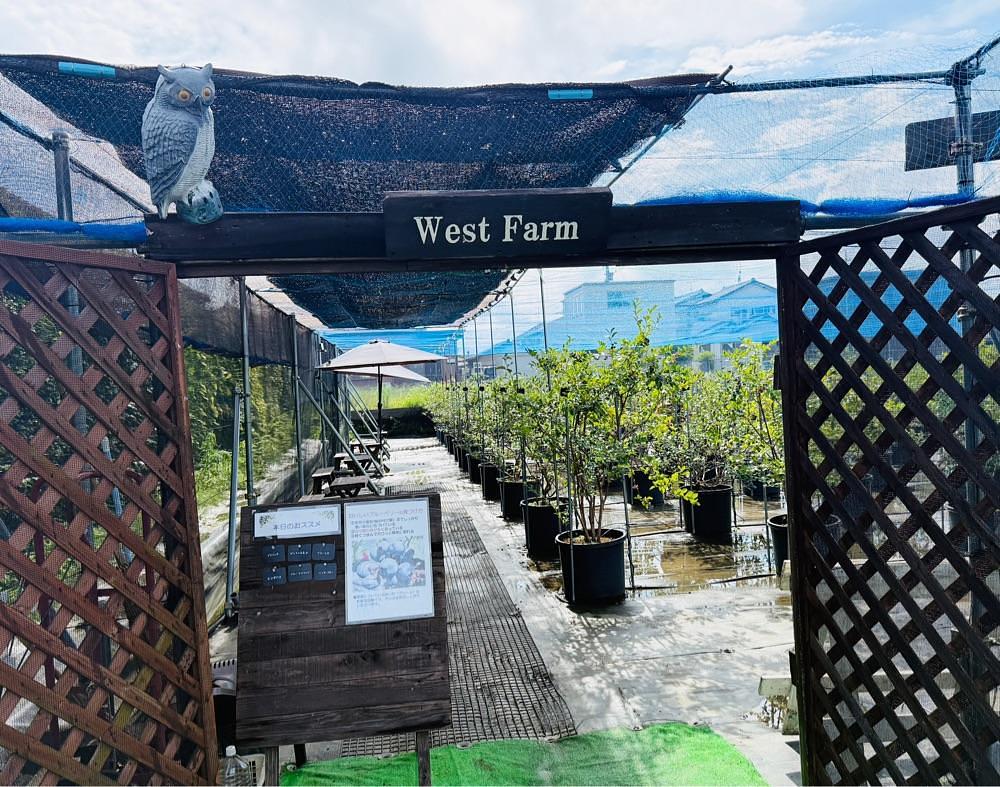 hirokororinさんが投稿したブルーベリーガーデンやいづに関する口コミの画像