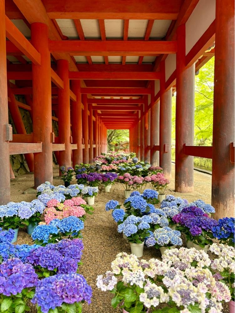 談山神社