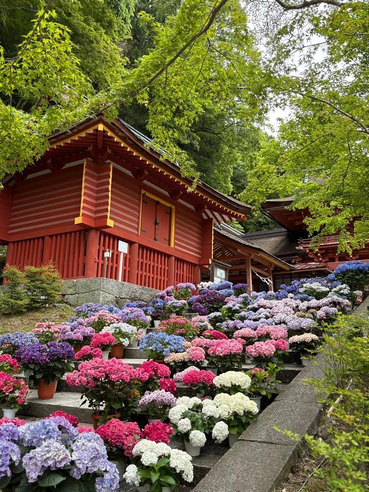 nicanさんが投稿した談山神社に関する口コミの画像