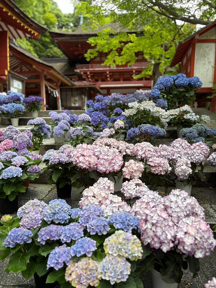 nicanさんが投稿した談山神社に関する口コミの画像