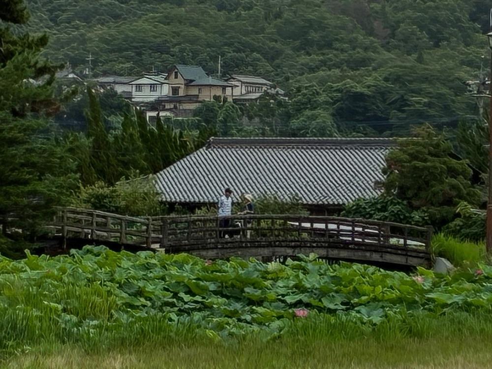 うーとらマンさんが投稿した備中高松城址に関する口コミの画像
