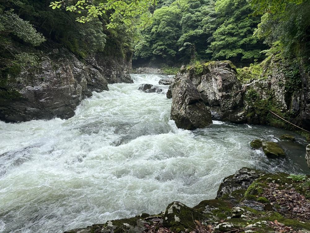 みーなさんが投稿した竜宮茶屋に関する口コミの画像