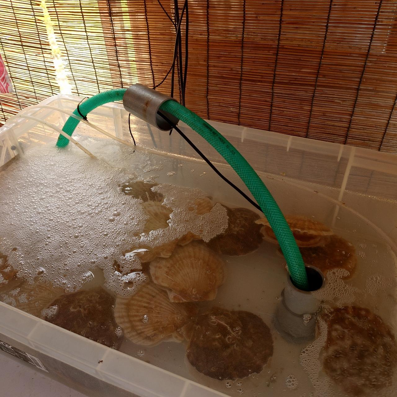 北海道大臣さんが投稿した海栄に関する口コミの画像