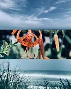 蚊口海浜公園