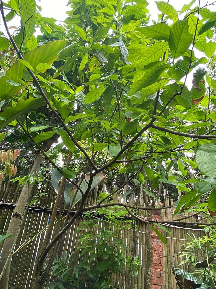 MMさんが投稿したUma Pakel Agro Tourism & swingに関する口コミの画像