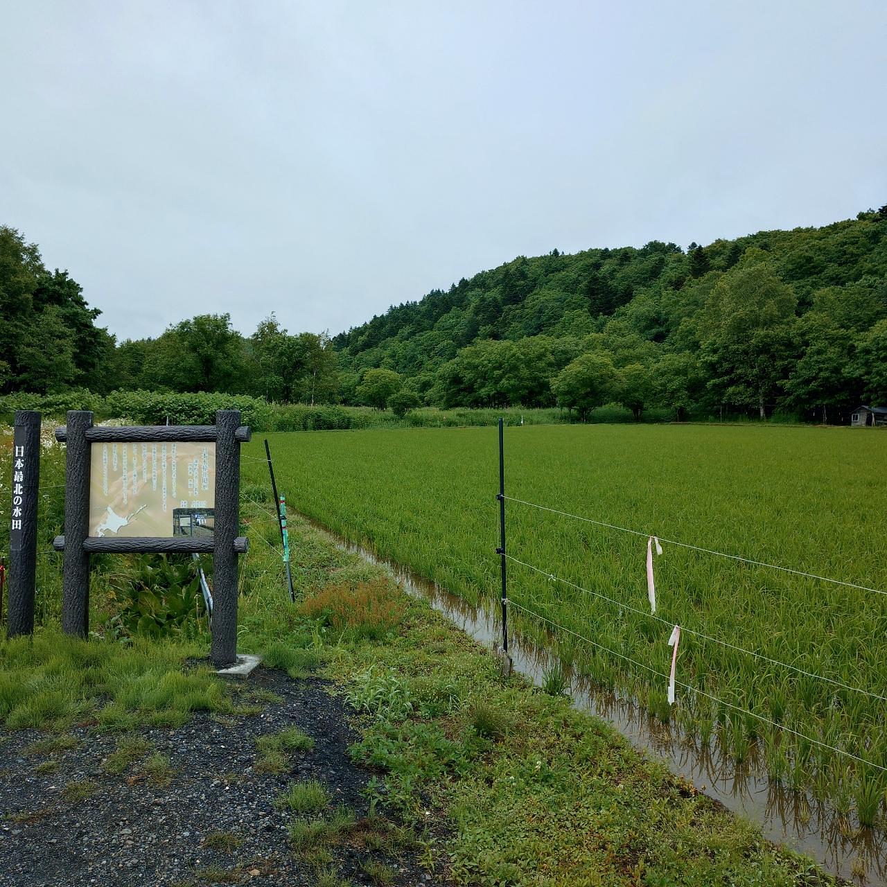 北海道大臣さんが投稿した遠別町に関する口コミの画像