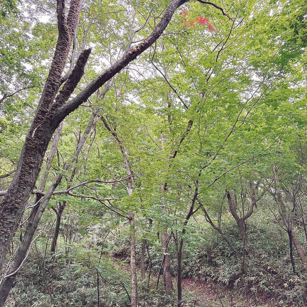 Danjouさんが投稿した登別泉源公園に関する口コミの画像