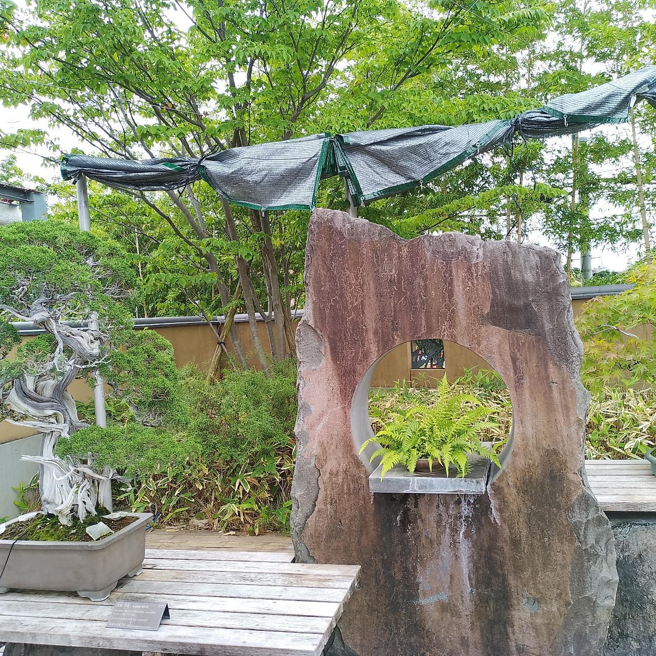 のんびりんこさんが投稿したさいたま市大宮盆栽美術館に関する口コミの画像