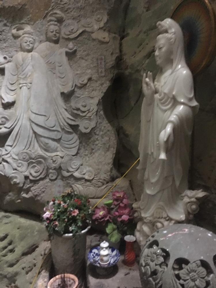 MMさんが投稿した五行山に関する口コミの画像