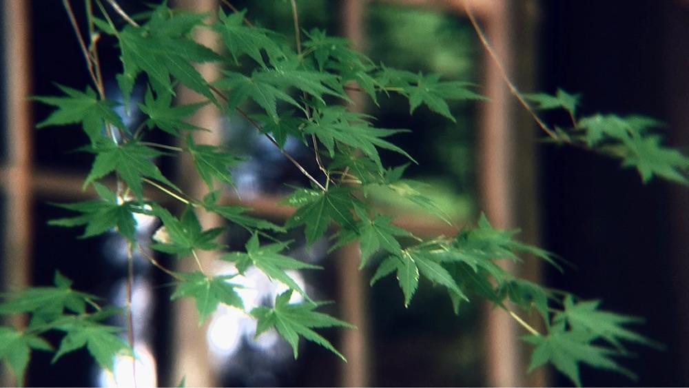 兎きち さんが投稿した法華嶽薬師寺に関する口コミの画像