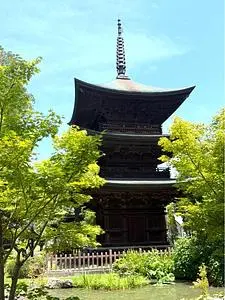 信濃国分寺の蓮