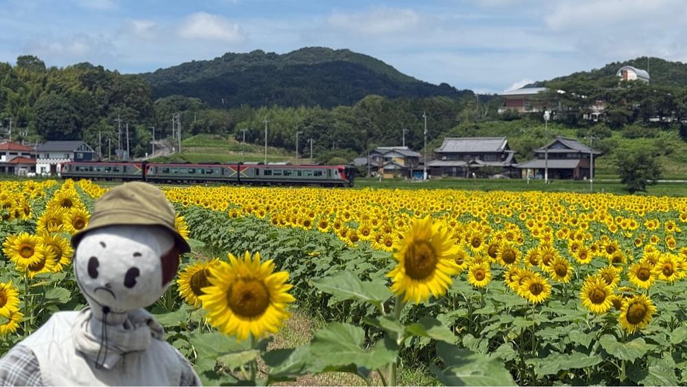 みぃさんが投稿したまんのう町に関する口コミの画像
