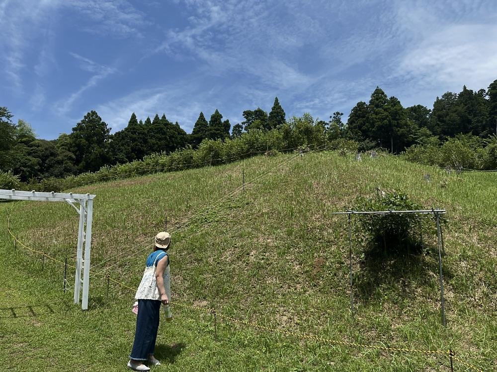 ロッシフミさんが投稿した山田農園に関する口コミの画像