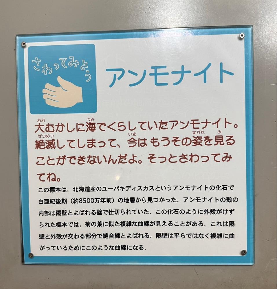 ぺたこ♡さんが投稿した大阪市立自然史博物館に関する口コミの画像