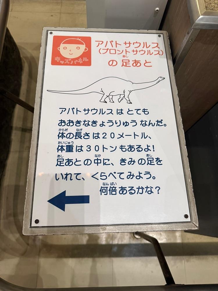 ぺたこ♡さんが投稿した大阪市立自然史博物館に関する口コミの画像