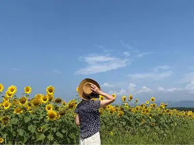 善入寺島