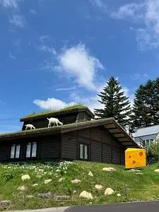 アトリエ・ド・フロマージュ 森のチーズテラス ショップ