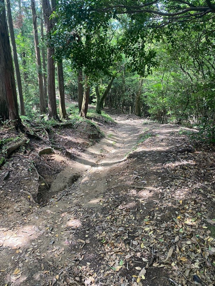 Rhapsodyさんが投稿した大野城跡（福岡県宇美町）に関する口コミの画像