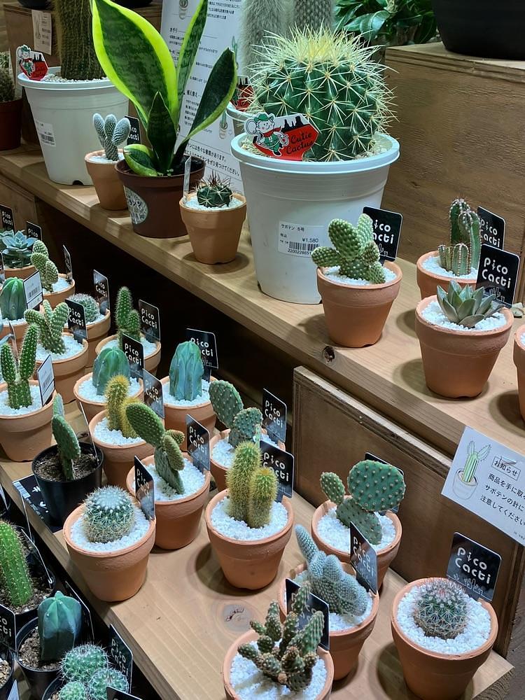 Nさんが投稿したカインズ笛吹店に関する口コミの画像