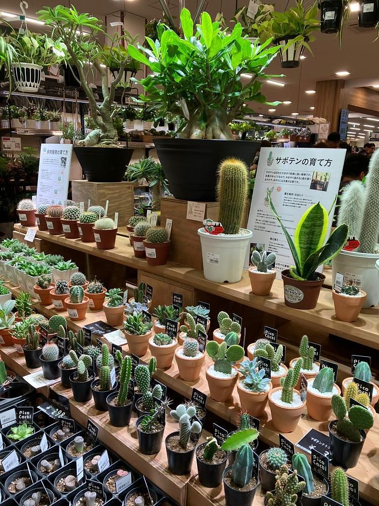 Nさんが投稿したカインズ笛吹店に関する口コミの画像