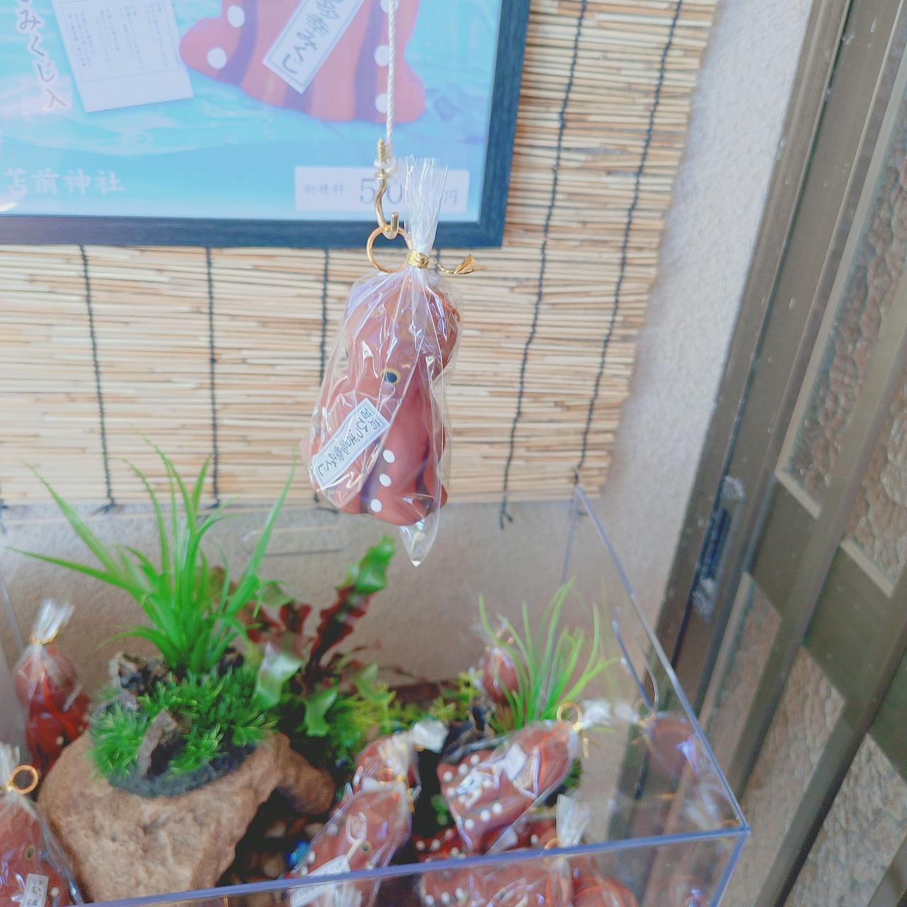 北海道大臣さんが投稿した苫前町に関する口コミの画像