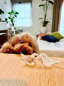 小樽 大正硝子館