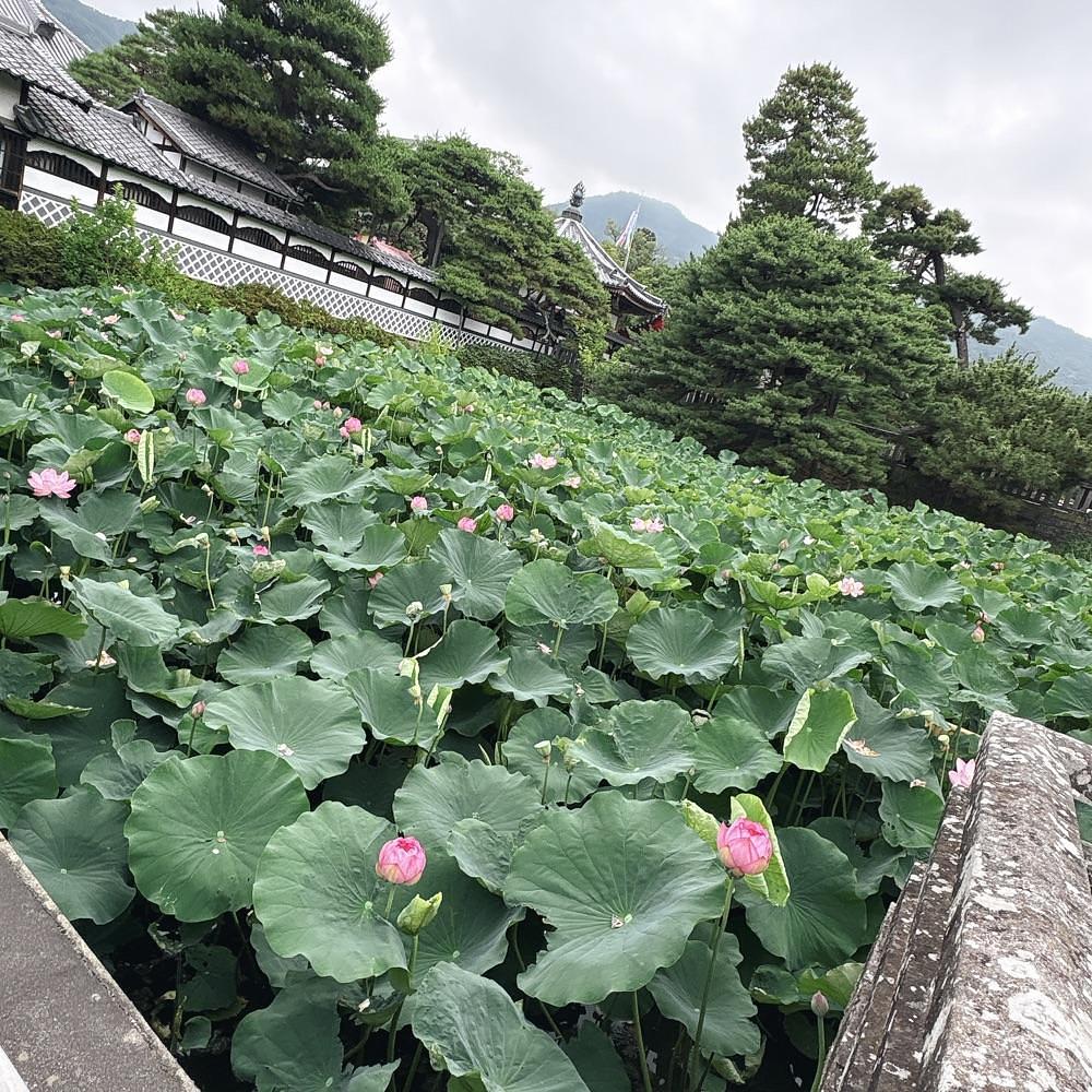 Danjouさんが投稿した善光寺に関する口コミの画像