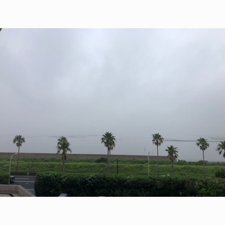 takeさんが投稿した東京ベイ舞浜ホテル クラブリゾートに関する口コミの画像