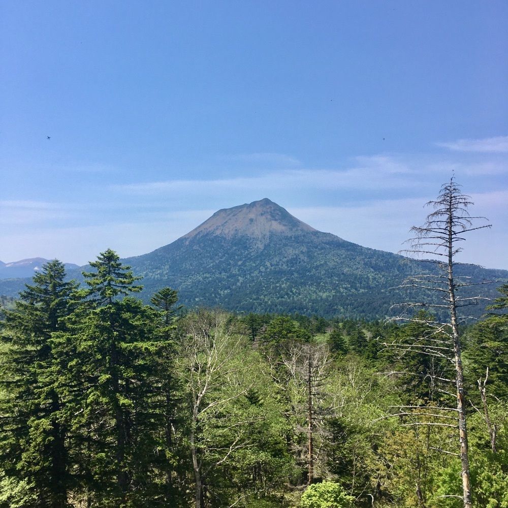 yoshiさんが投稿した雄阿寒岳山麓の原始林に関する口コミの画像