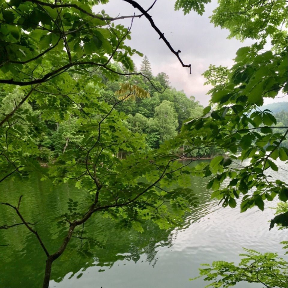 yoshiさんが投稿したチミケップ湖に関する口コミの画像